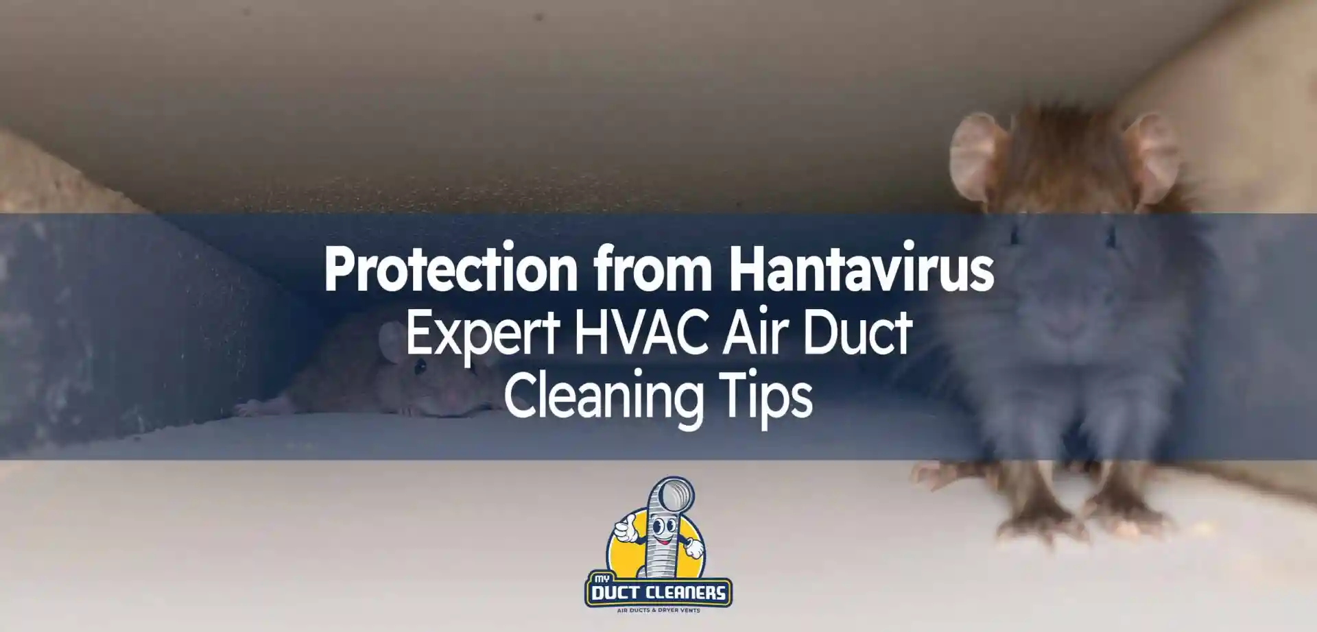Protect Your Phoenix Home from Hantavirus with Expert HVAC Air Duct Cleaning