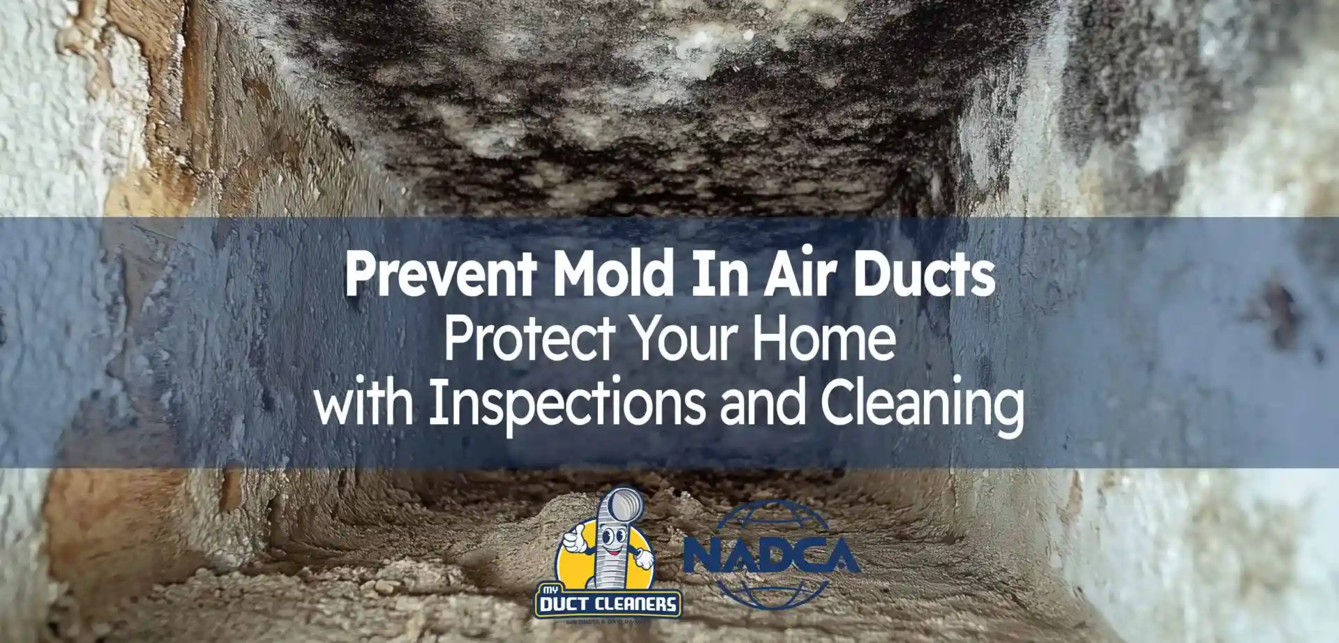 Why Regular Air Duct Inspections Prevent Mold and Protect Your Home
