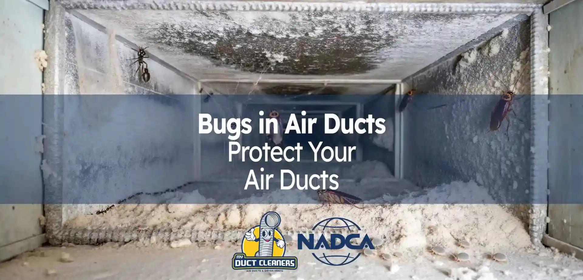 How Prevent Bug Infestation in Air Ducts